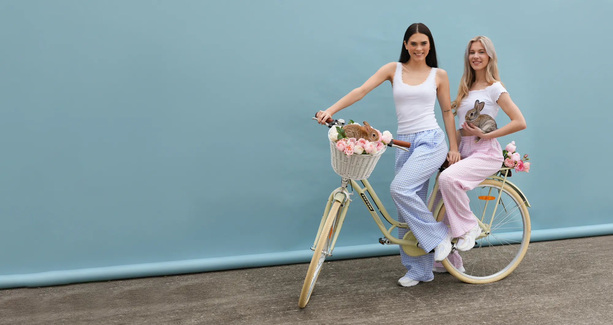 Damenfahrrad, Fahrrad mit Korb, Blumenstrauß, Pastellkleidung, Häschen